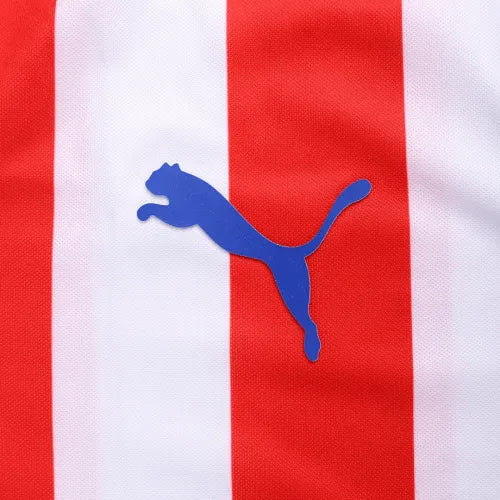 Chivas Guadalajara Retro Jersey Home
