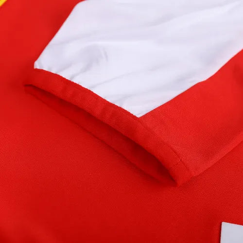 04-05 Arsenal Henry #14 FABREGAS #15 Pires #7 Bergkamp #10 Retro Jersey Home Replica