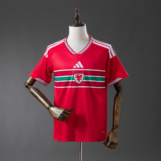 Wales 2026 Home Jersey